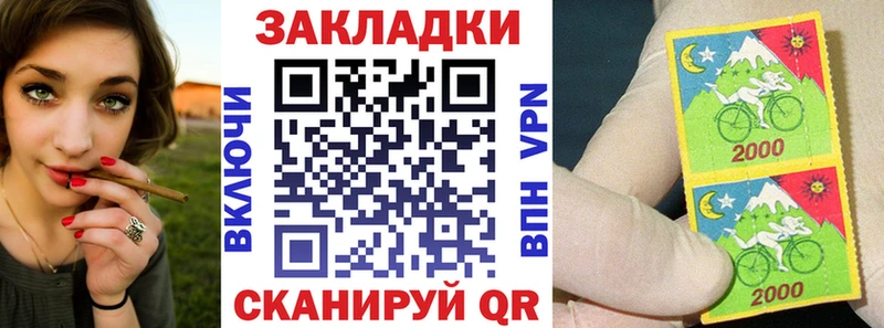 Псилоцибиновые грибы Вихоревка