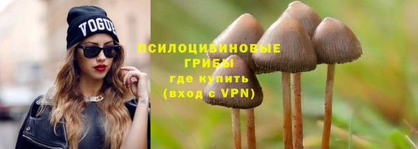 твердый Касимов