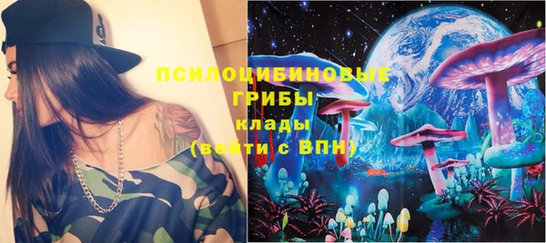 крисы Карталы